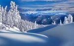 雪景