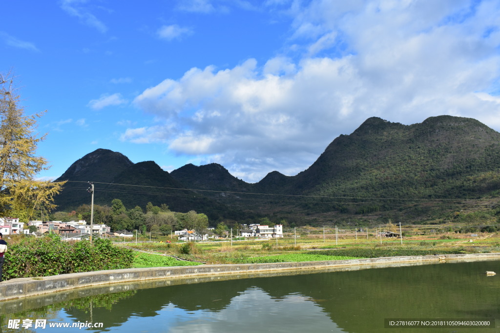 乡村风景