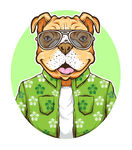 狗先生