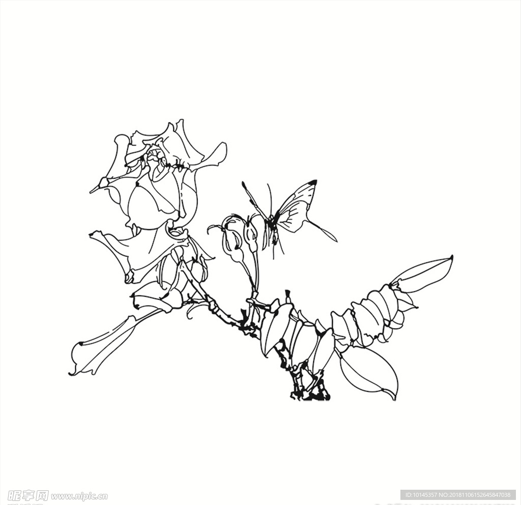 蝶恋花