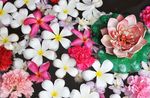 花花