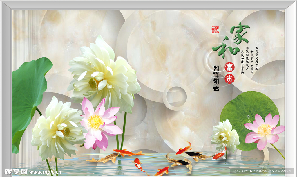 荷花背景图