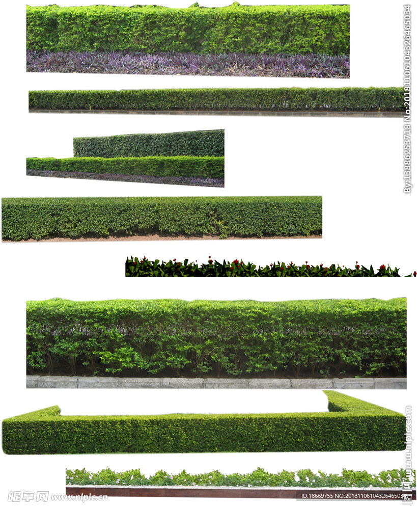 绿篱平面素材图片