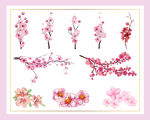 花瓣