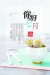 你好，七月