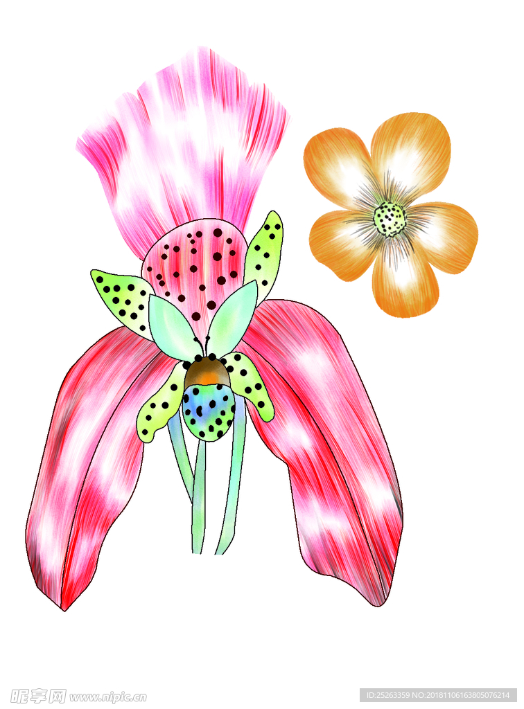 昆虫花