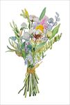 插画花卉