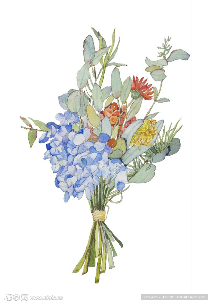 花卉插画