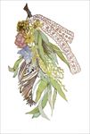 花卉插画