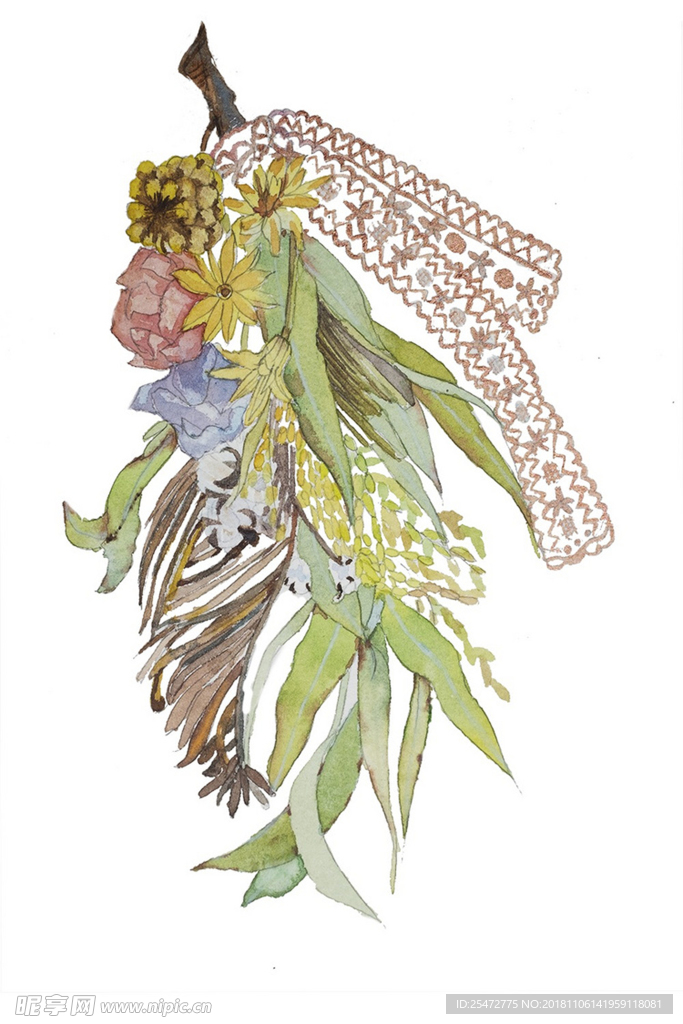 花卉插画