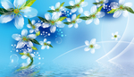 花瓣