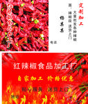 红辣椒