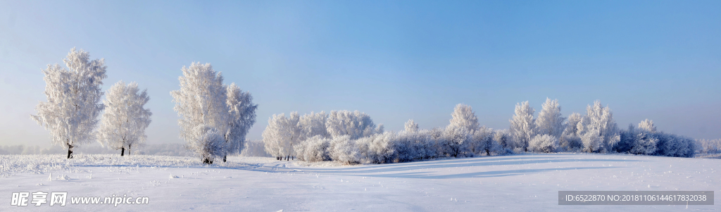 雪景 雾凇