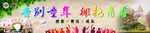 拥抱青春