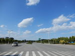 马路风景