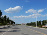 马路风景