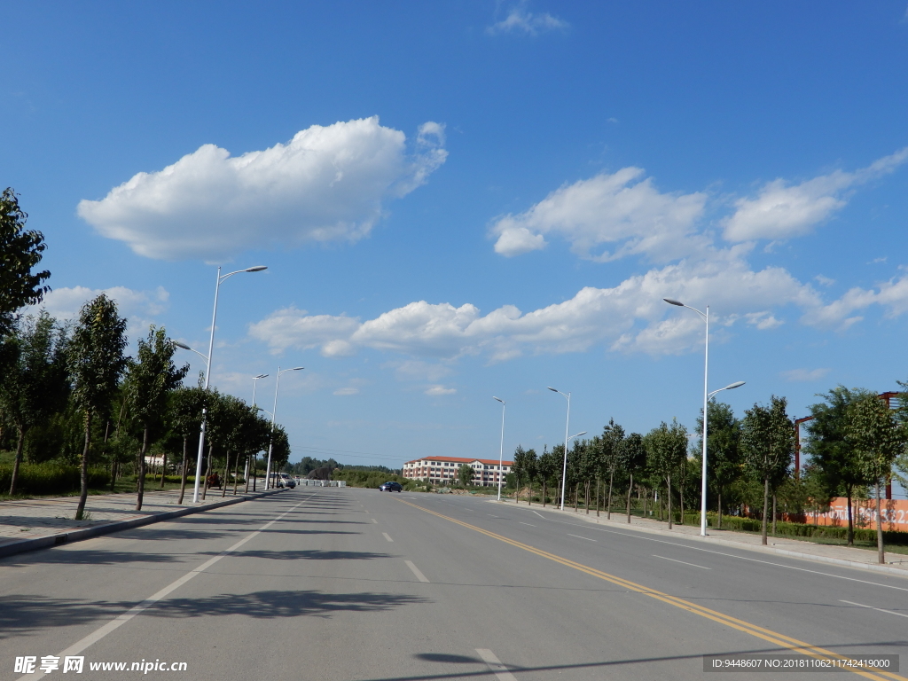 马路风景