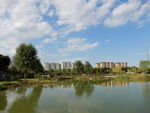 公园风景