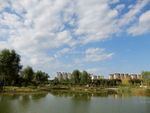 公园风景图