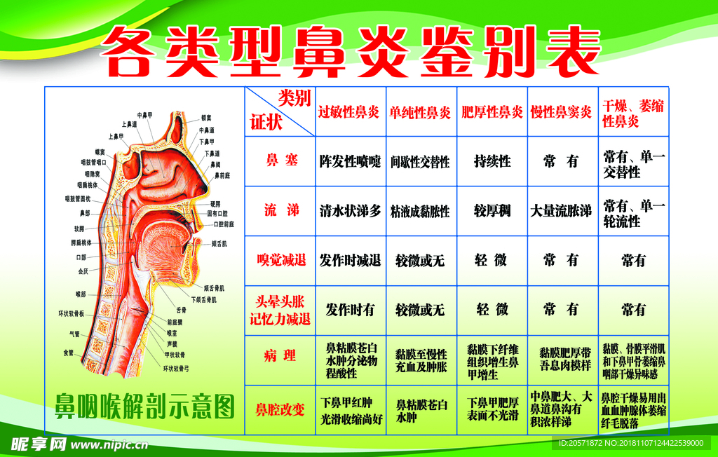 鼻炎鉴别表