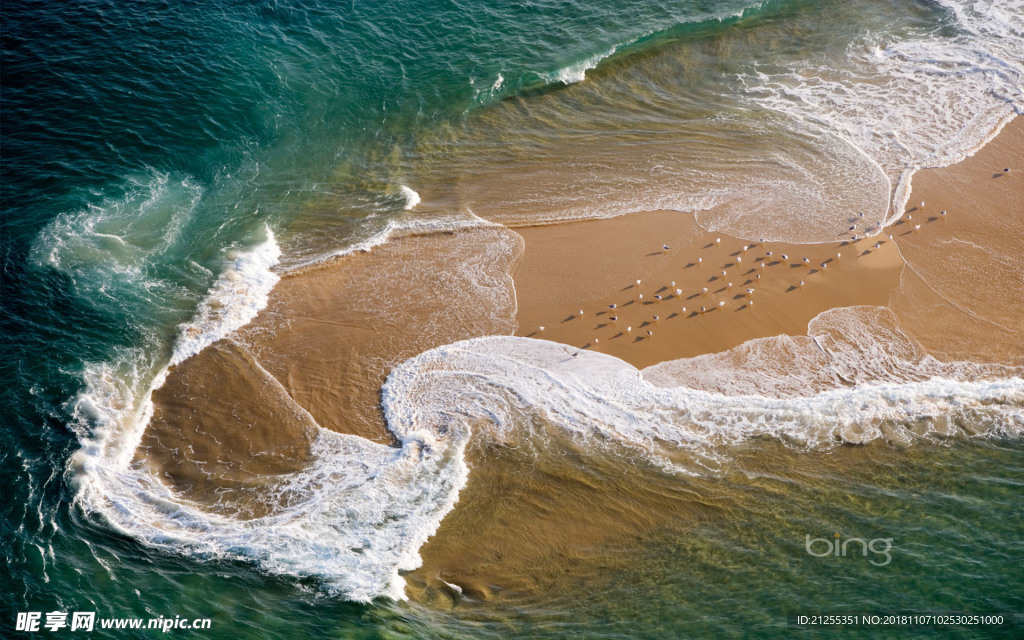 海