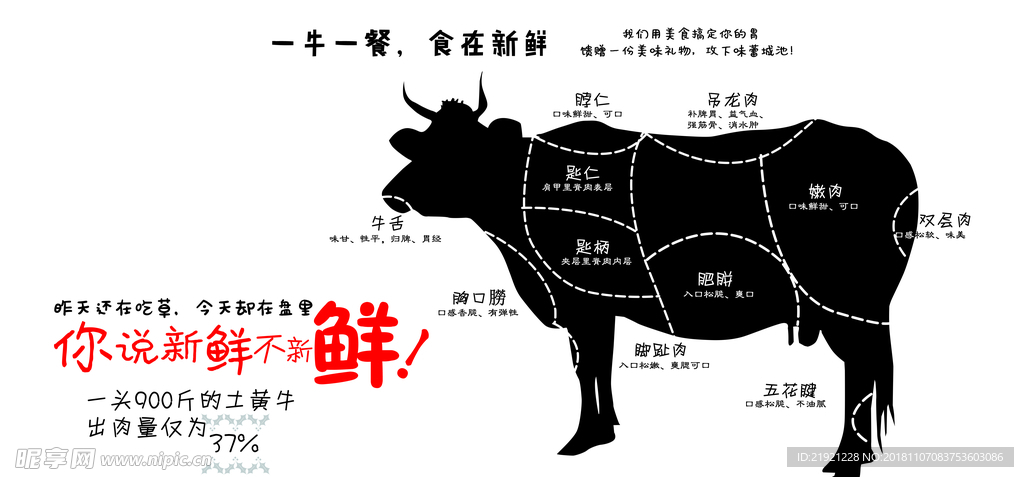 黄牛分解图