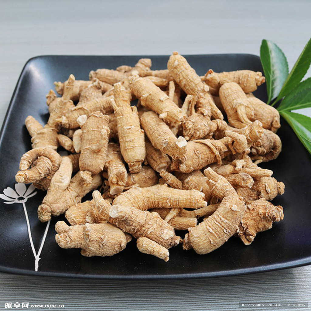 西洋参粒头