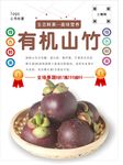 山竹海报