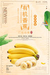 香蕉海报
