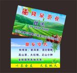 茶叶名片