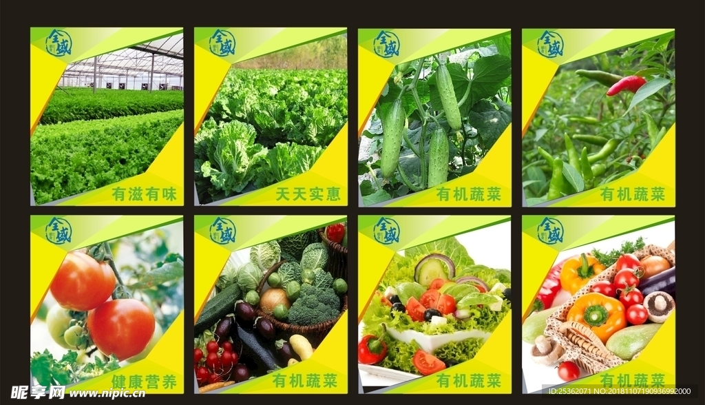 膳食蔬菜
