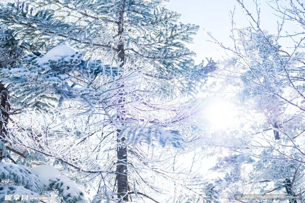 唯美雪景