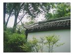 庭院