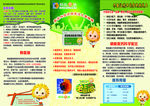 葵花