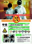新尚居甲醛单页