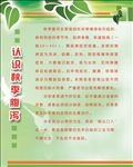 腹泻