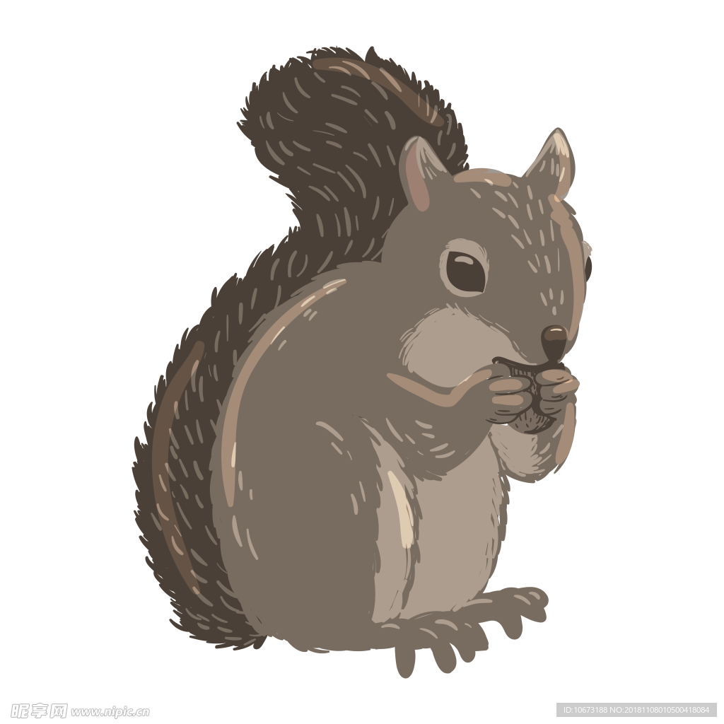 卡通松鼠图片设计图__图片素材_其他_设计图库_昵图网