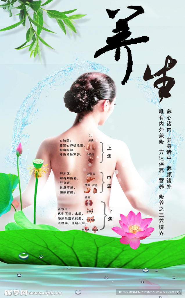 养生