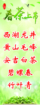 春茶上市
