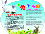 兔子