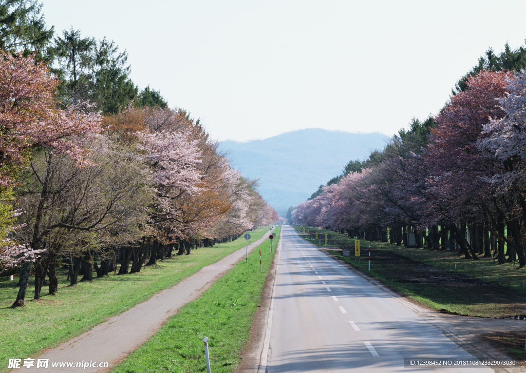 公园里面的公路