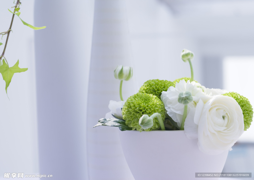 白玫瑰和绣球花
