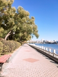 湖景