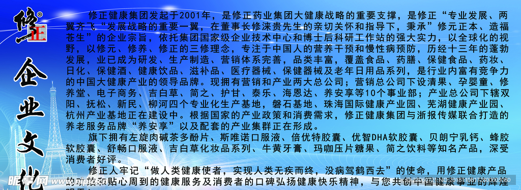 修正公司简介