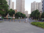 社区