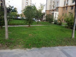 文明社区