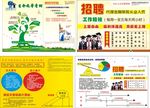 保险 保险宣传单 招聘 保险广
