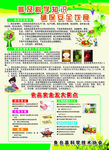 科普食物安全挂画