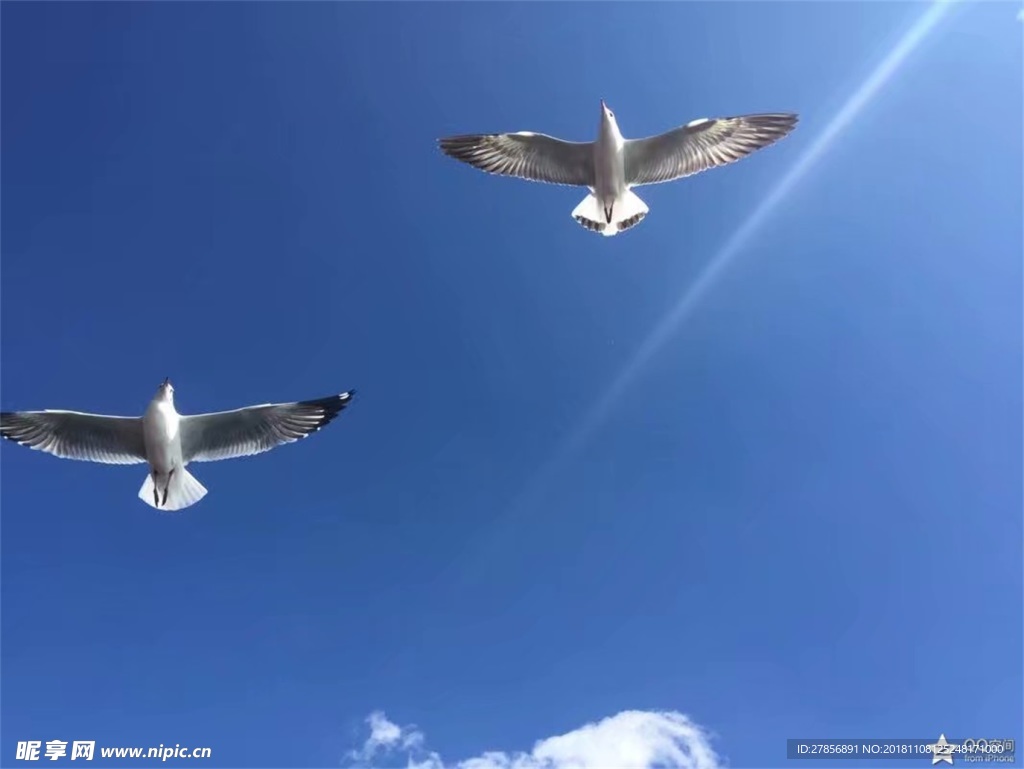 泸沽湖