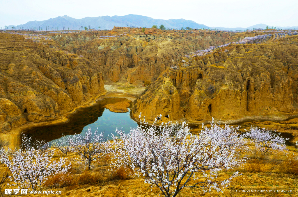 风景如画